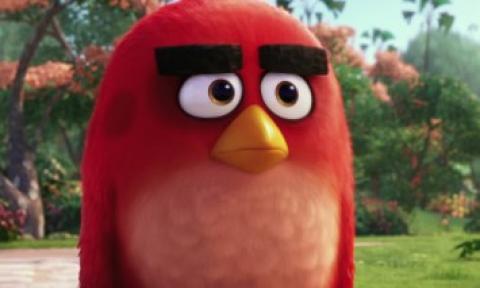 فيلم كرتون Angry Birds مدبلج الطيور الغاضبة HD
