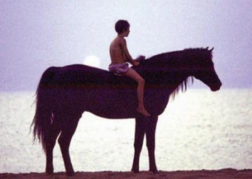 فيلم The Black Stallion مترجم اون لاين HD الحصان الاسود 1979