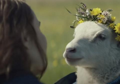 فيلم Lamb 2021 مترجم اون لاين HD
