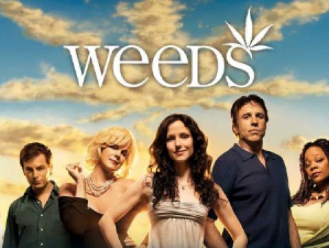 مسلسل Weeds الموسم الاول الحلقة 1 مترجم HD جميع الحلقات