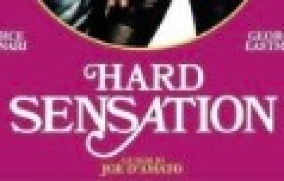 فيلم Hard Sensation 1980 مترجم اون لاين