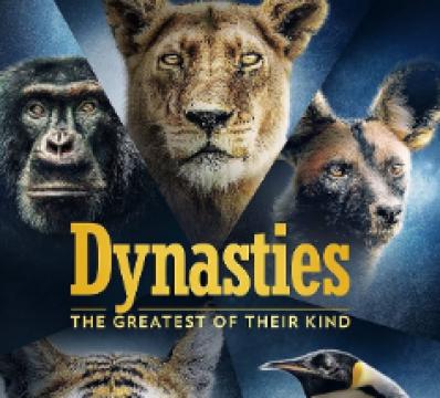 مسلسل Dynasties الموسم الاول الحلقة 1 مترجم HD جميع الحلقات